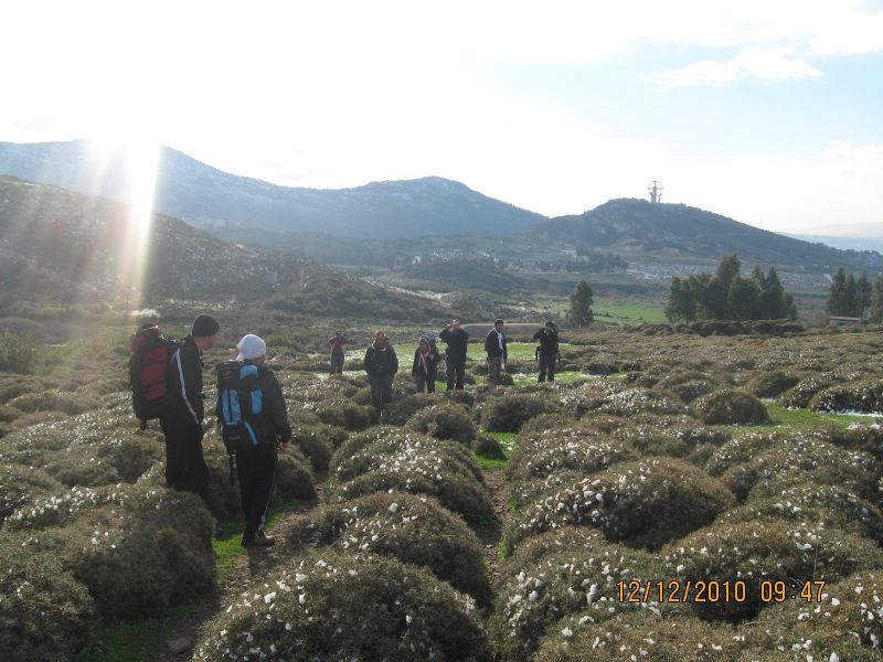 Onur Mah.- DoÃƒÂƒÃ‚Â„ÃƒÂ‚Ã‚ÂŸanÃƒÂƒÃ‚ÂƒÃƒÂ‚Ã‚Â§ay 12.12.2010 061.jpg