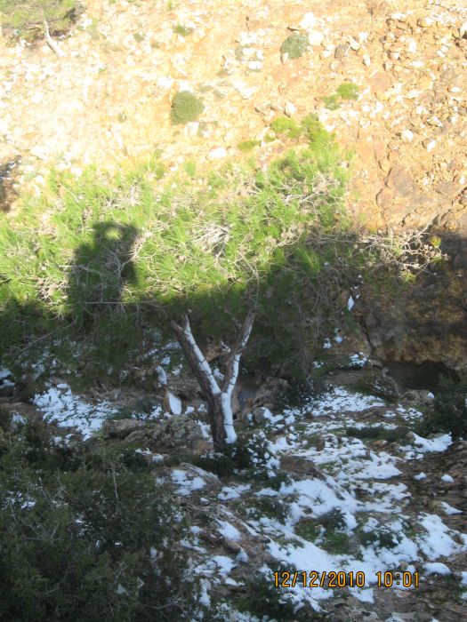 Onur Mah.- DoÃƒÂƒÃ‚Â„ÃƒÂ‚Ã‚ÂŸanÃƒÂƒÃ‚ÂƒÃƒÂ‚Ã‚Â§ay 12.12.2010 065.jpg