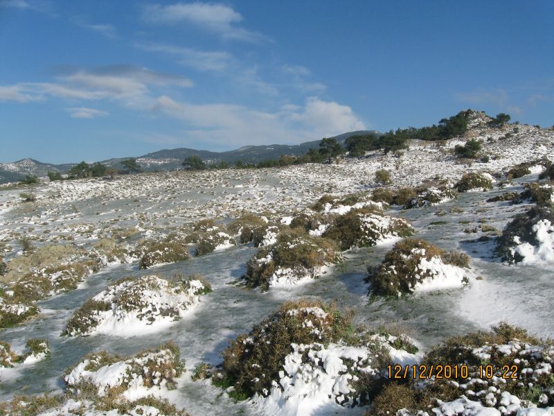 Onur Mah.- DoÃƒÂƒÃ‚Â„ÃƒÂ‚Ã‚ÂŸanÃƒÂƒÃ‚ÂƒÃƒÂ‚Ã‚Â§ay 12.12.2010 074.jpg