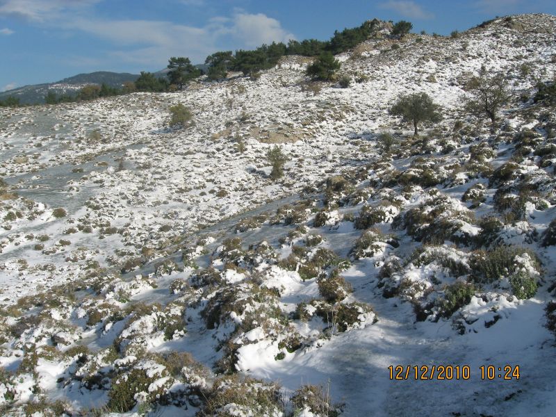 Onur Mah.- DoÃƒÂƒÃ‚Â„ÃƒÂ‚Ã‚ÂŸanÃƒÂƒÃ‚ÂƒÃƒÂ‚Ã‚Â§ay 12.12.2010 077.jpg