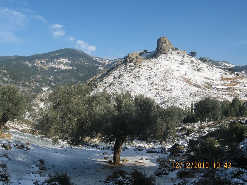 Onur Mah.- DoÃƒÂƒÃ‚Â„ÃƒÂ‚Ã‚ÂŸanÃƒÂƒÃ‚ÂƒÃƒÂ‚Ã‚Â§ay 12.12.2010 082.jpg