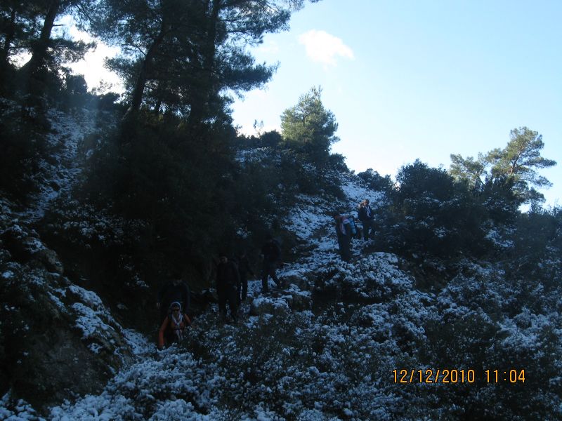 Onur Mah.- DoÃƒÂƒÃ‚Â„ÃƒÂ‚Ã‚ÂŸanÃƒÂƒÃ‚ÂƒÃƒÂ‚Ã‚Â§ay 12.12.2010 087.jpg