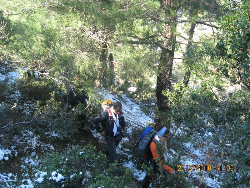 Onur Mah.- DoÃƒÂƒÃ‚Â„ÃƒÂ‚Ã‚ÂŸanÃƒÂƒÃ‚ÂƒÃƒÂ‚Ã‚Â§ay 12.12.2010 089.jpg