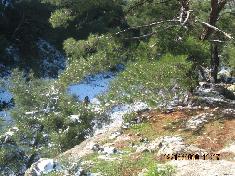 Onur Mah.- DoÃƒÂƒÃ‚Â„ÃƒÂ‚Ã‚ÂŸanÃƒÂƒÃ‚ÂƒÃƒÂ‚Ã‚Â§ay 12.12.2010 093.jpg