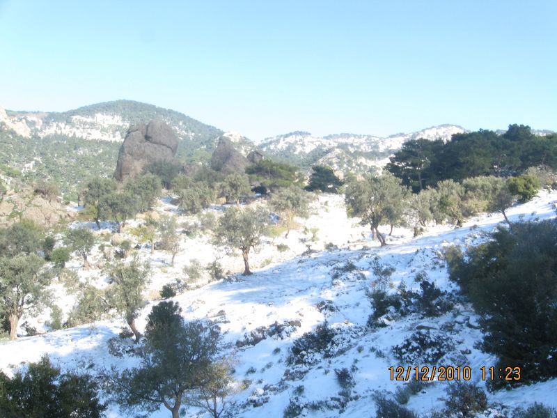 Onur Mah.- DoÃƒÂƒÃ‚Â„ÃƒÂ‚Ã‚ÂŸanÃƒÂƒÃ‚ÂƒÃƒÂ‚Ã‚Â§ay 12.12.2010 095.jpg