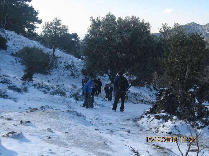 Onur Mah.- DoÃƒÂƒÃ‚Â„ÃƒÂ‚Ã‚ÂŸanÃƒÂƒÃ‚ÂƒÃƒÂ‚Ã‚Â§ay 12.12.2010 098.jpg