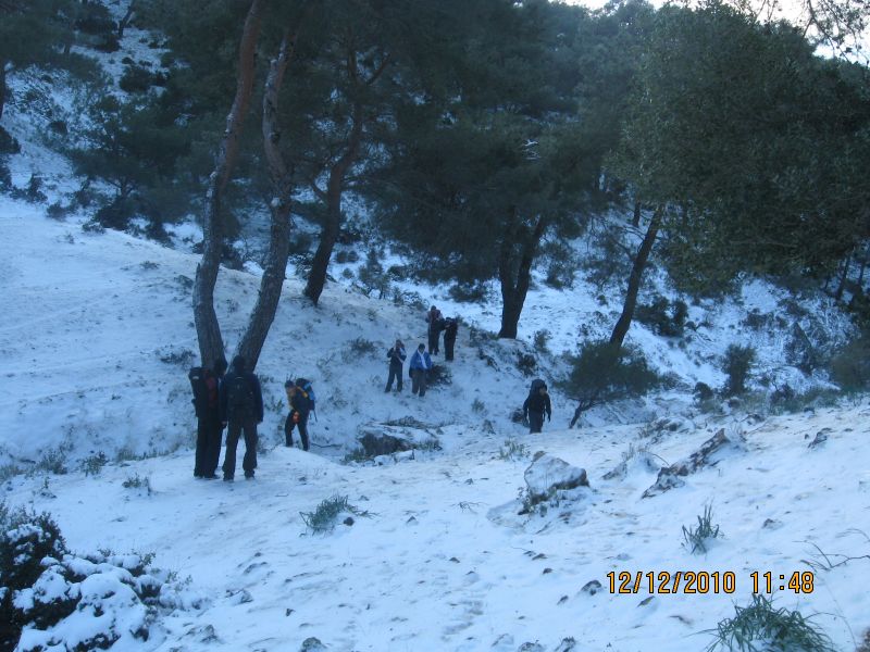 Onur Mah.- DoÃƒÂƒÃ‚Â„ÃƒÂ‚Ã‚ÂŸanÃƒÂƒÃ‚ÂƒÃƒÂ‚Ã‚Â§ay 12.12.2010 100.jpg