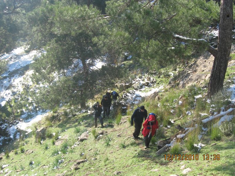 Onur Mah.- DoÃƒÂƒÃ‚Â„ÃƒÂ‚Ã‚ÂŸanÃƒÂƒÃ‚ÂƒÃƒÂ‚Ã‚Â§ay 12.12.2010 109.jpg