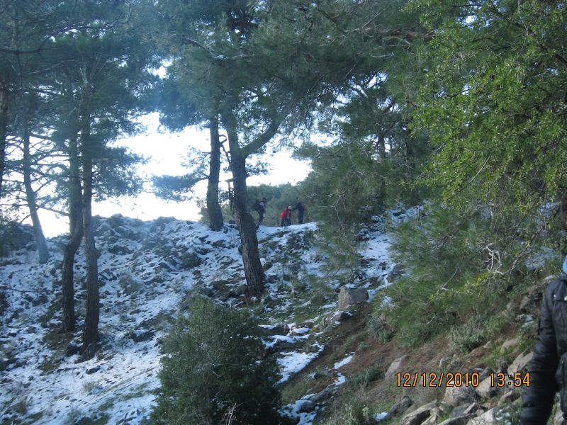 Onur Mah.- DoÃƒÂƒÃ‚Â„ÃƒÂ‚Ã‚ÂŸanÃƒÂƒÃ‚ÂƒÃƒÂ‚Ã‚Â§ay 12.12.2010 112.jpg