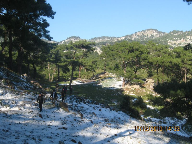 Onur Mah.- DoÃƒÂƒÃ‚Â„ÃƒÂ‚Ã‚ÂŸanÃƒÂƒÃ‚ÂƒÃƒÂ‚Ã‚Â§ay 12.12.2010 116.jpg