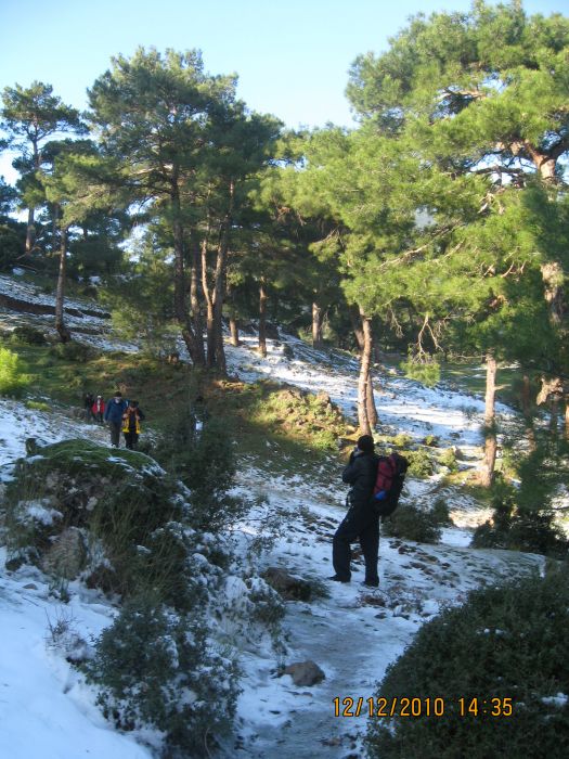 Onur Mah.- DoÃƒÂƒÃ‚Â„ÃƒÂ‚Ã‚ÂŸanÃƒÂƒÃ‚ÂƒÃƒÂ‚Ã‚Â§ay 12.12.2010 117.jpg