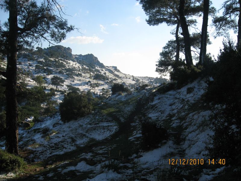 Onur Mah.- DoÃƒÂƒÃ‚Â„ÃƒÂ‚Ã‚ÂŸanÃƒÂƒÃ‚ÂƒÃƒÂ‚Ã‚Â§ay 12.12.2010 118.jpg