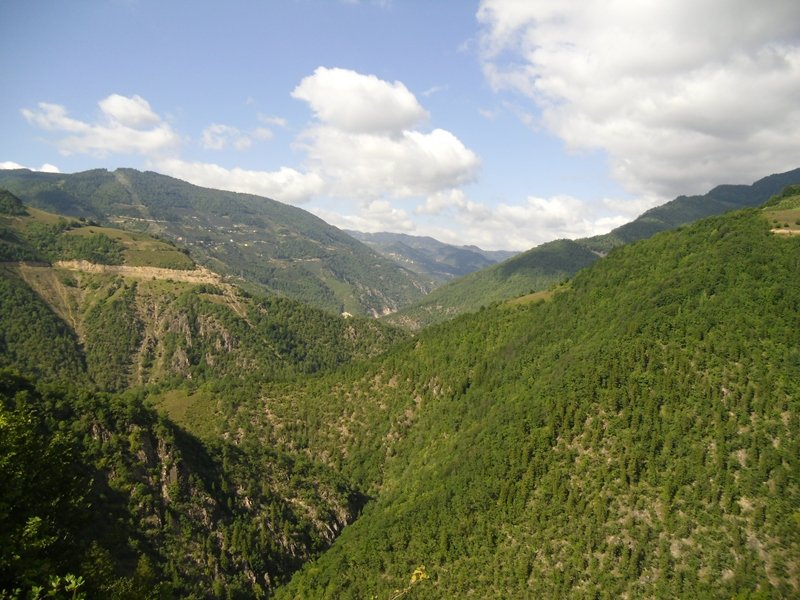 Ordu _Melet_topÃƒÂƒÃ‚ÂƒÃƒÂ‚Ã‚Â§am01.JPG