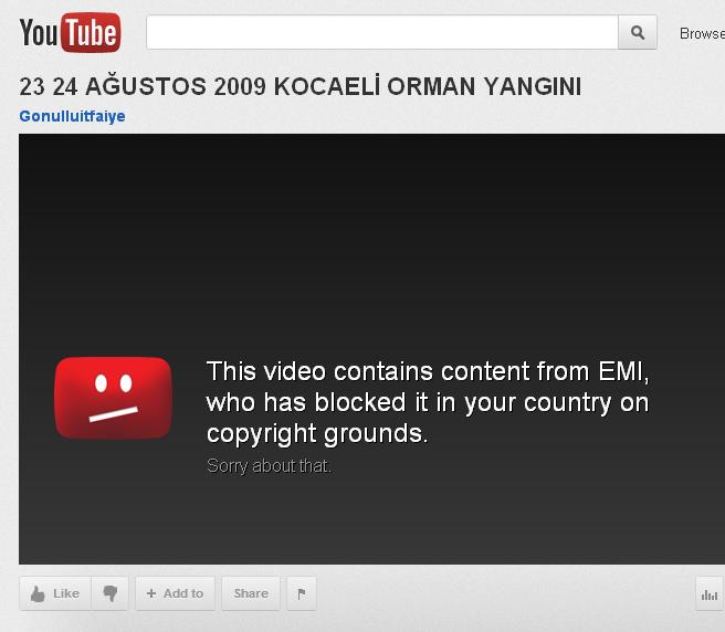Orman YangÃƒÂƒÃ‚Â„ÃƒÂ‚Ã‚Â±nÃƒÂƒÃ‚Â„ÃƒÂ‚Ã‚Â±.JPG
