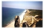 ormanli_04a.jpg