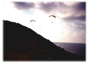 ormanli_06a.jpg