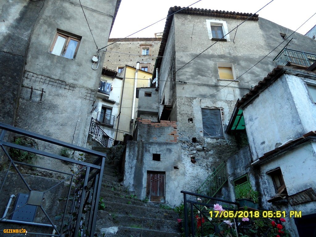 orsamorso 2.JPG