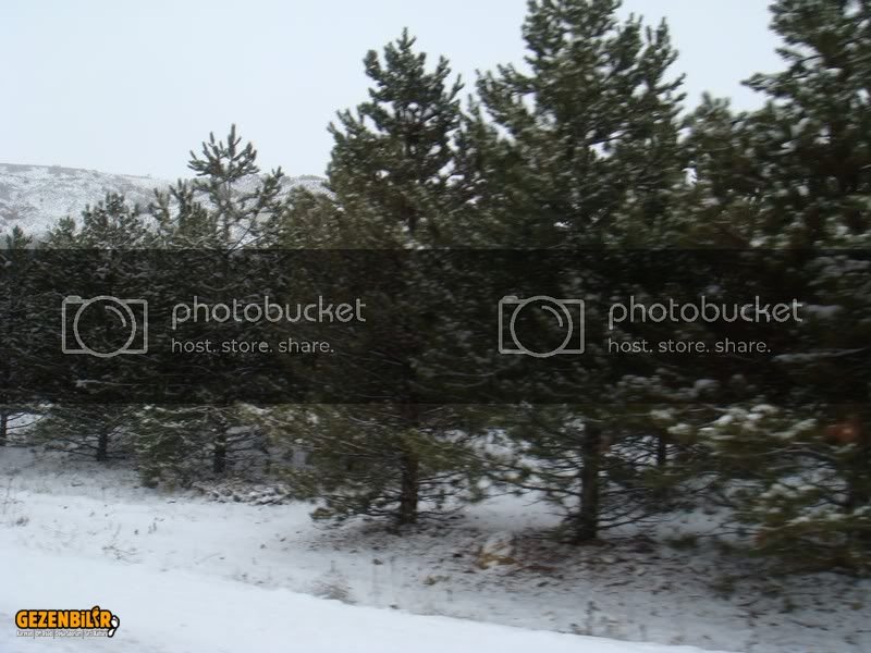 ortabereket049.jpg