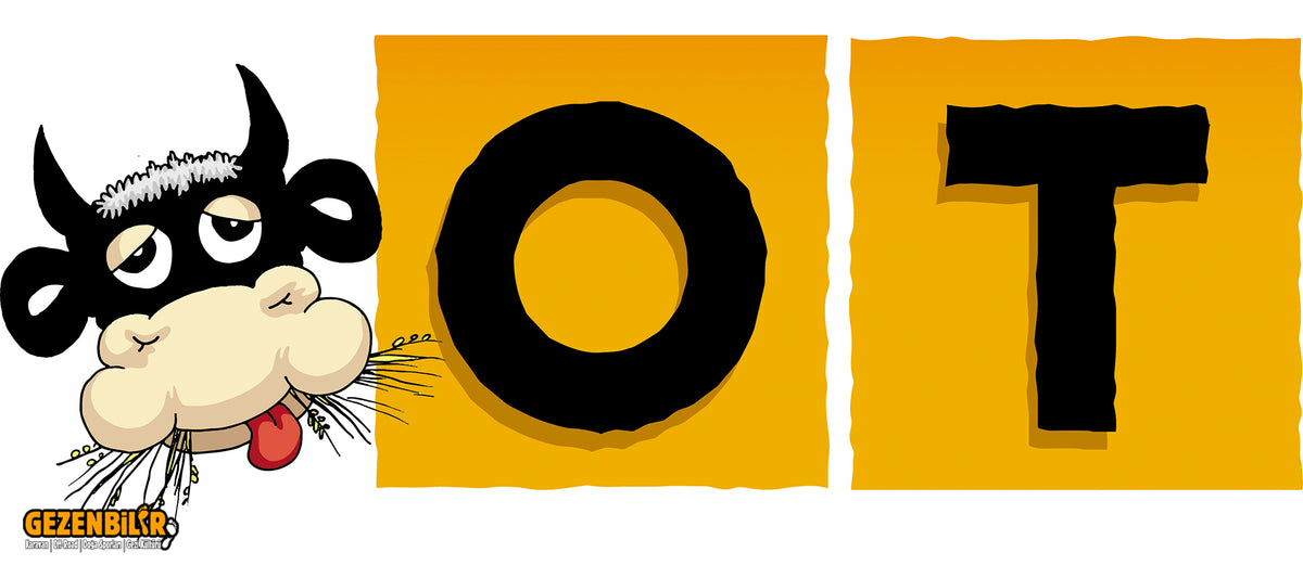OT logo kurumsal 1200x1200
