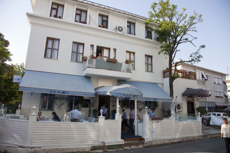 p1.jpg