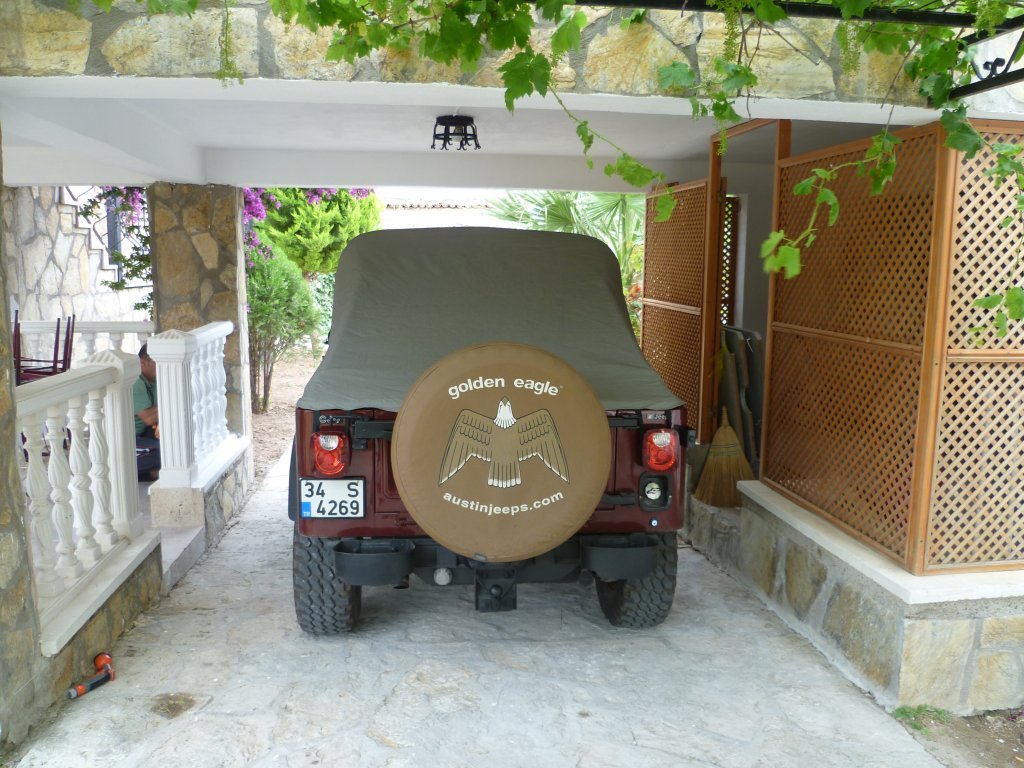 P1000066.jpg