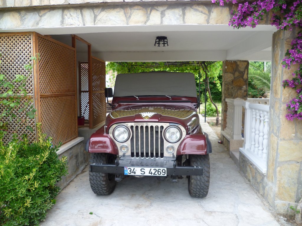 P1000067.jpg