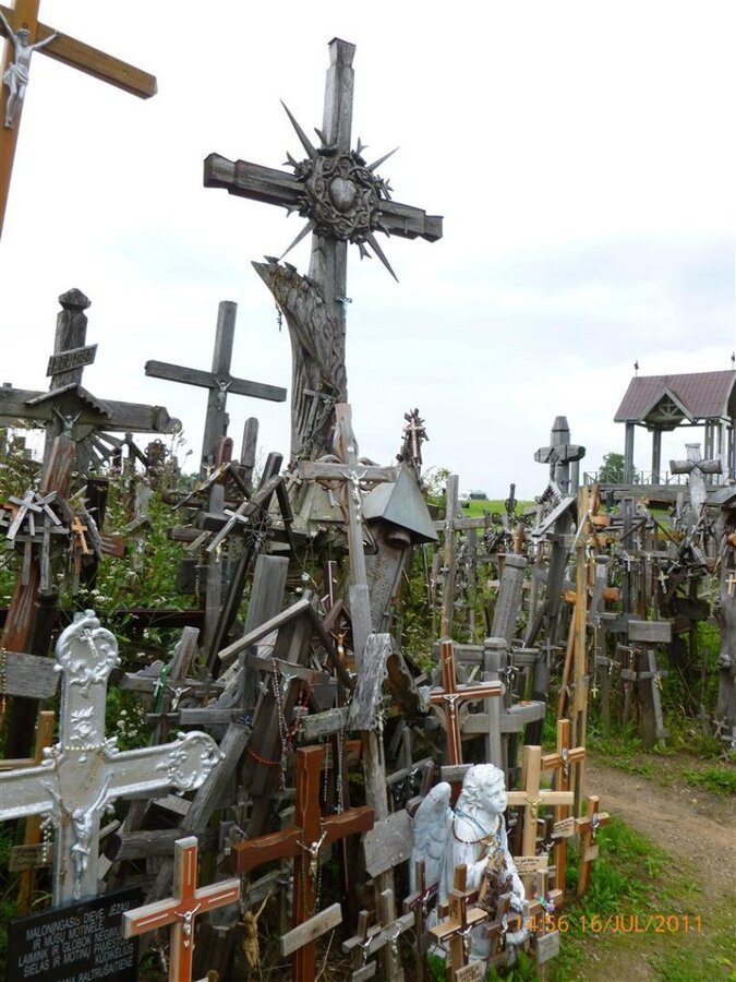 P1000441 (Large).jpg