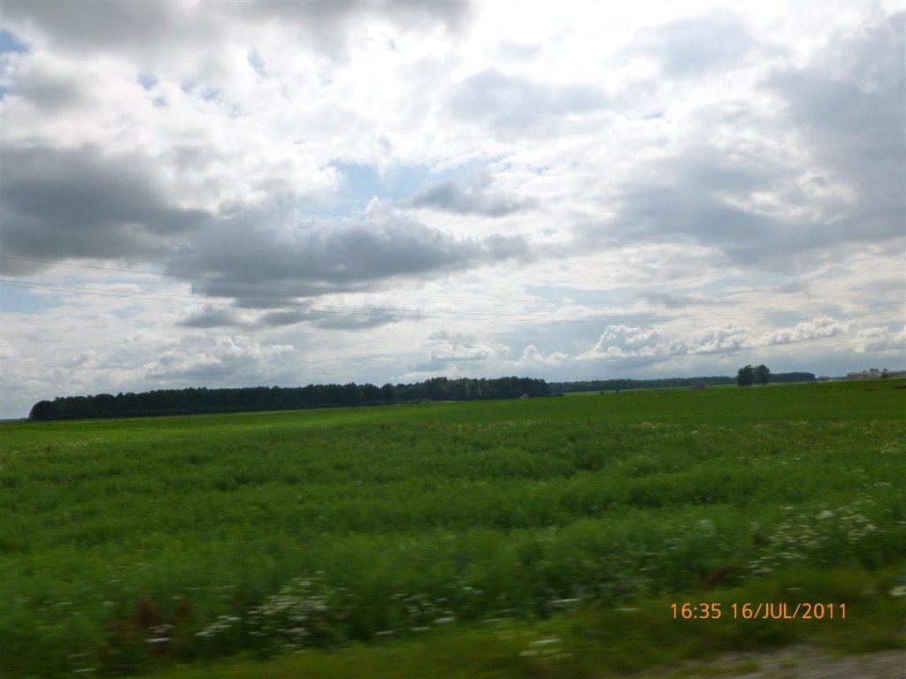 P1000464 (Large).jpg