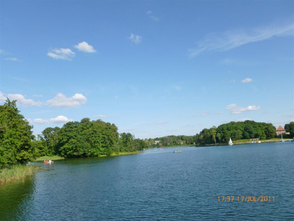 P1000481 (Large).jpg