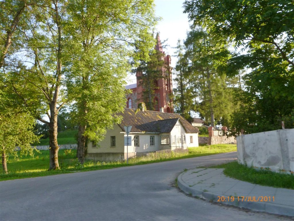 P1000531 (Large).jpg