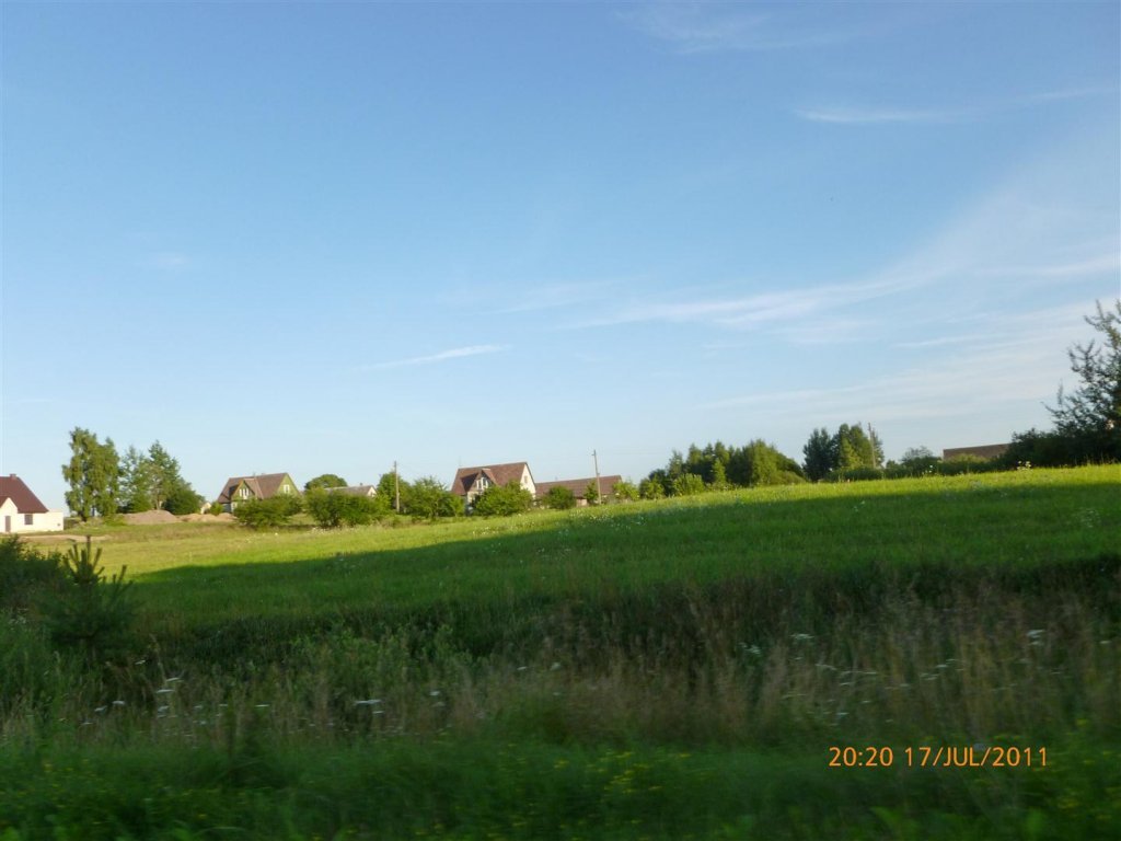 P1000534 (Large).jpg