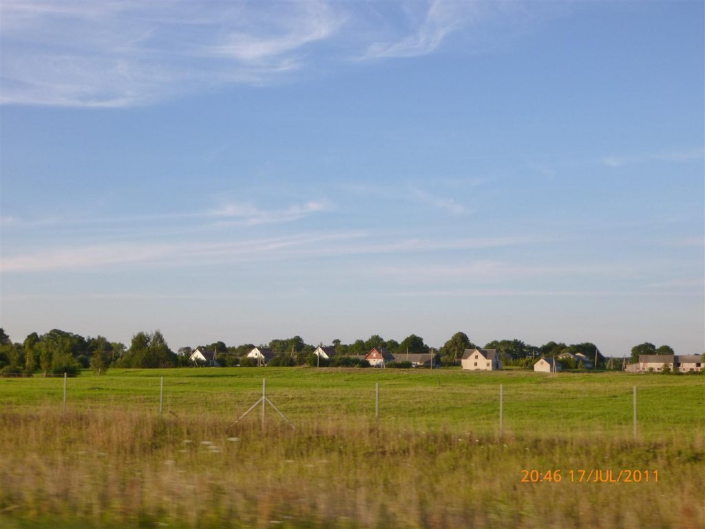 P1000535 (Large).jpg