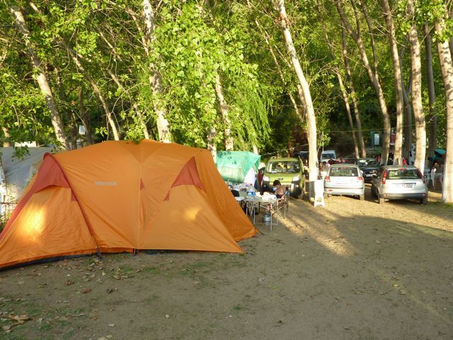 P1000703.jpg