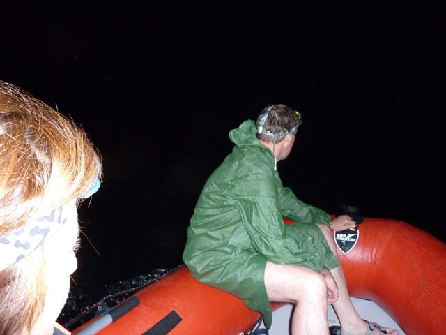 P1000711.jpg