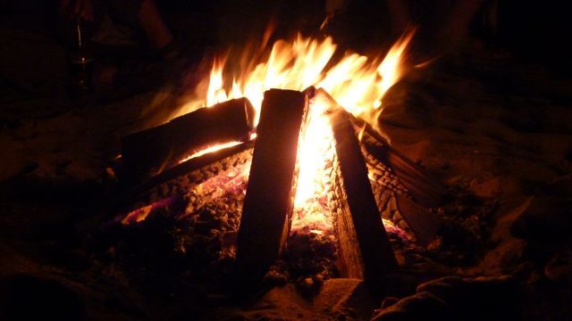 P1000725.jpg