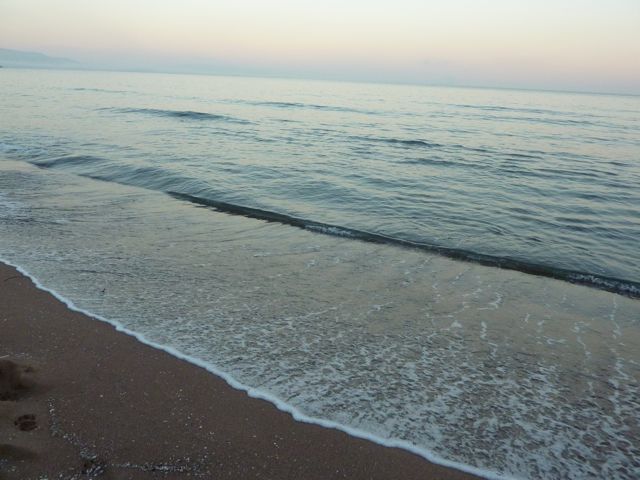 P1000739.jpg