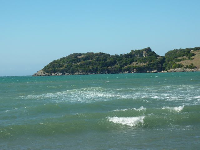 P1000750.jpg