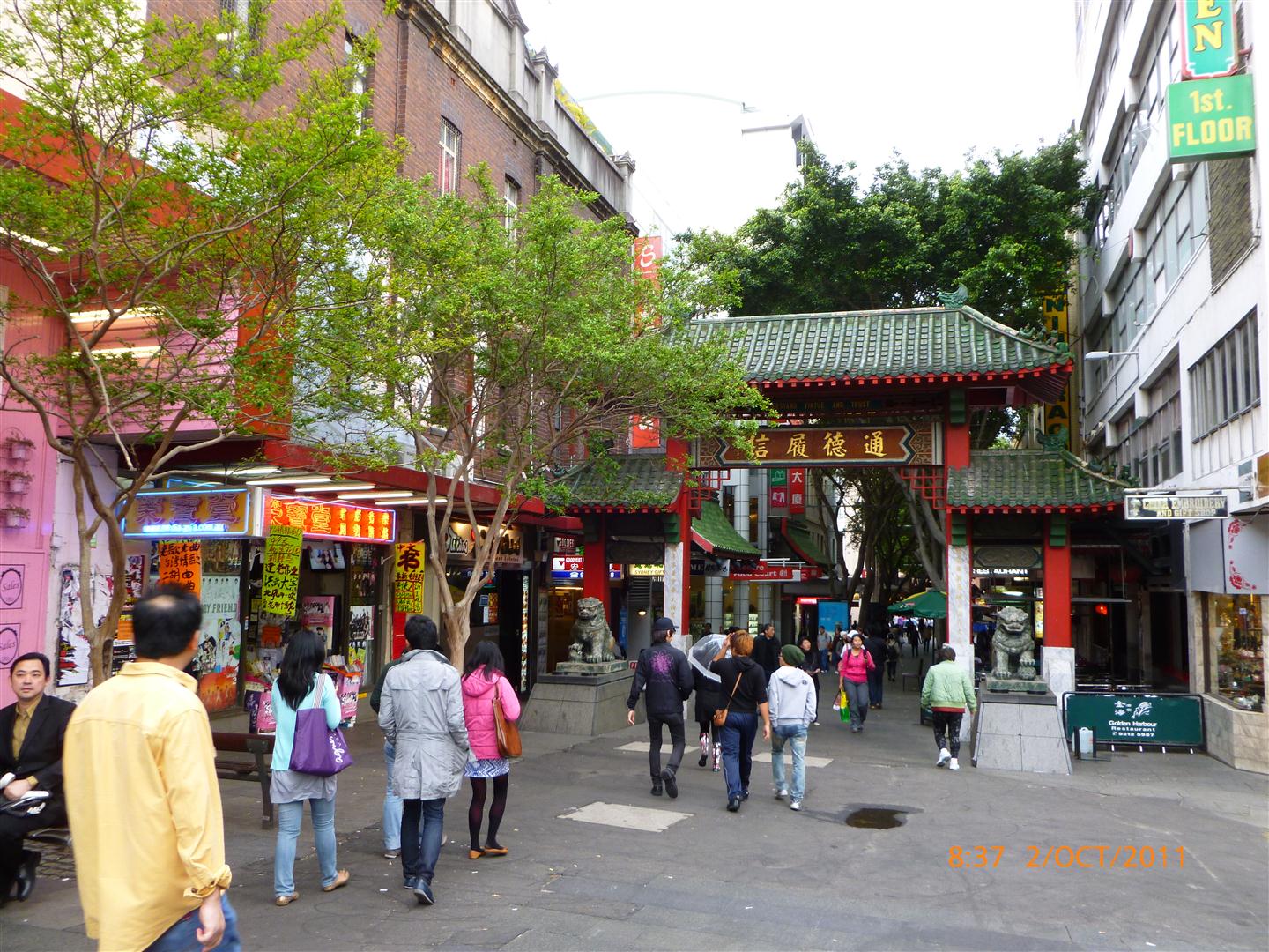 P1000946 (Large).jpg