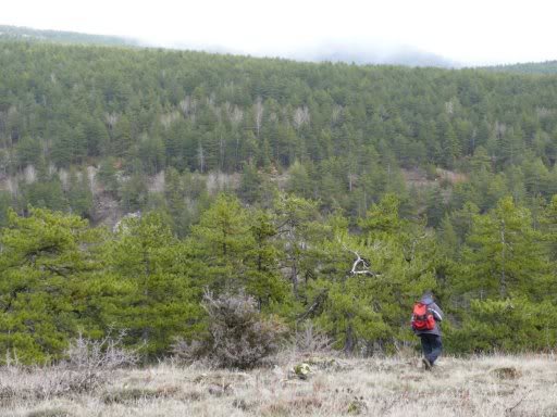 P1000978_JPG.jpg
