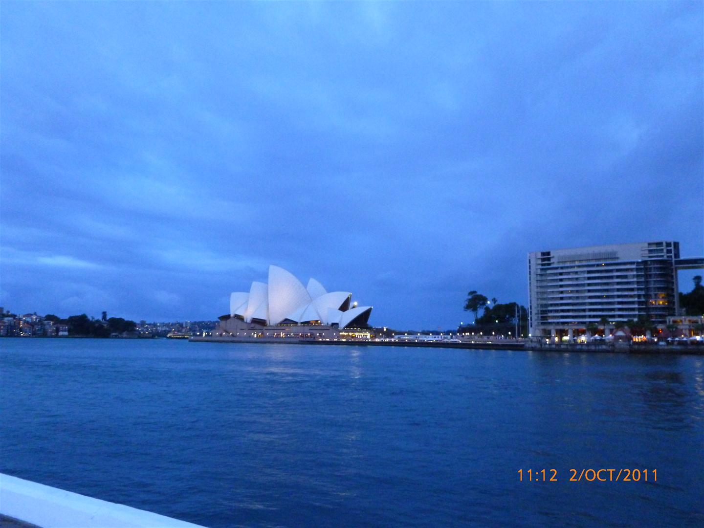 P1000984 (Large).jpg