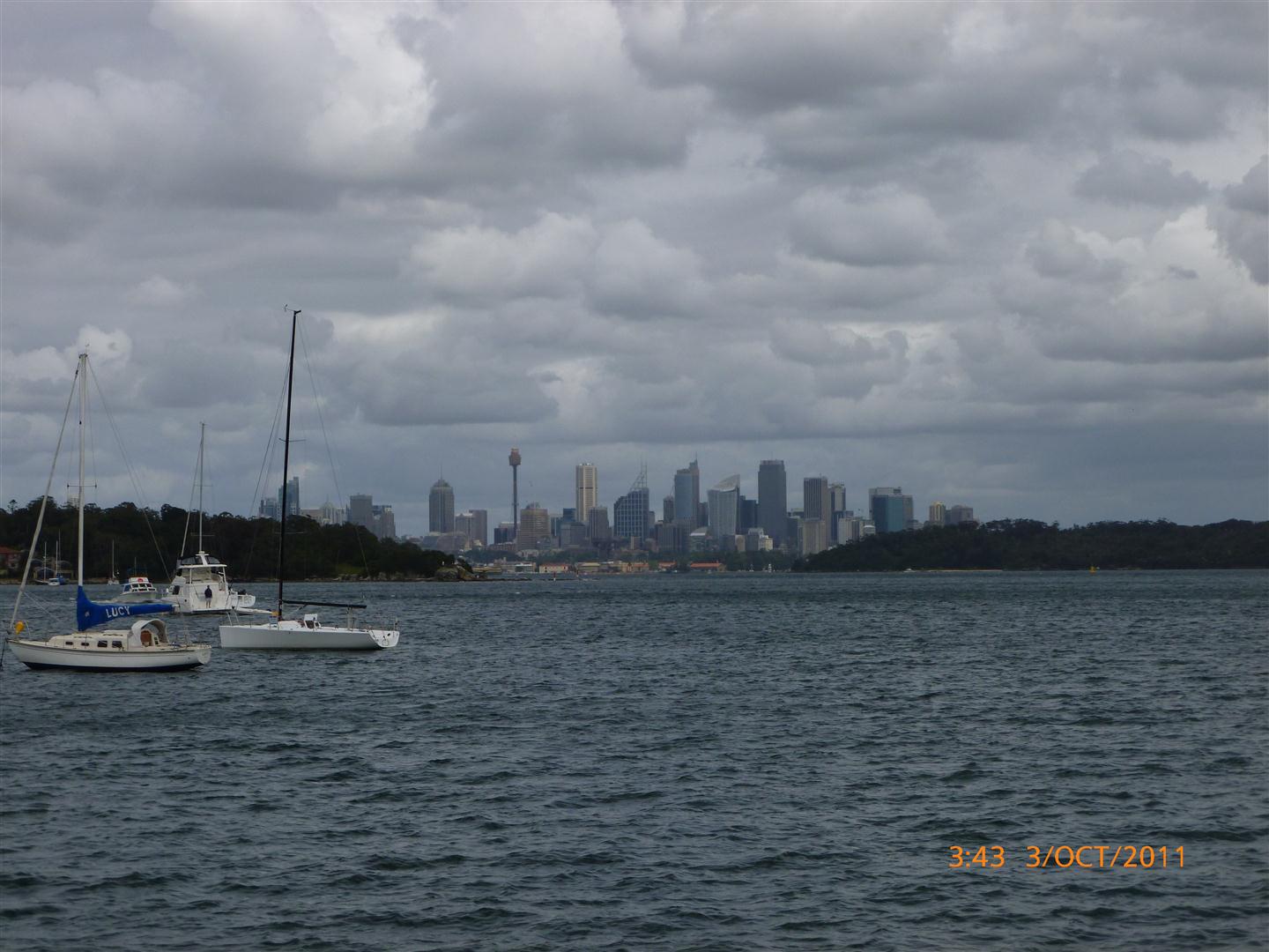 P1010019 (Large).jpg