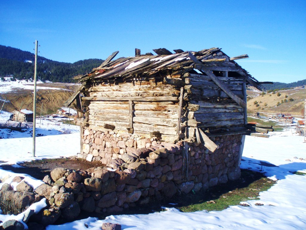P1010054.JPG