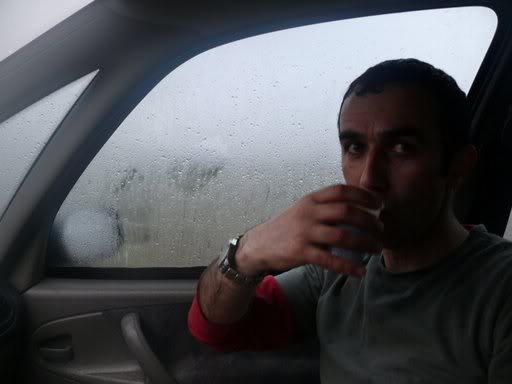 P1010082_JPG.jpg