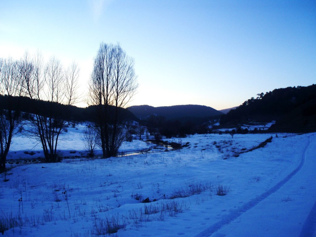 P1010132.JPG