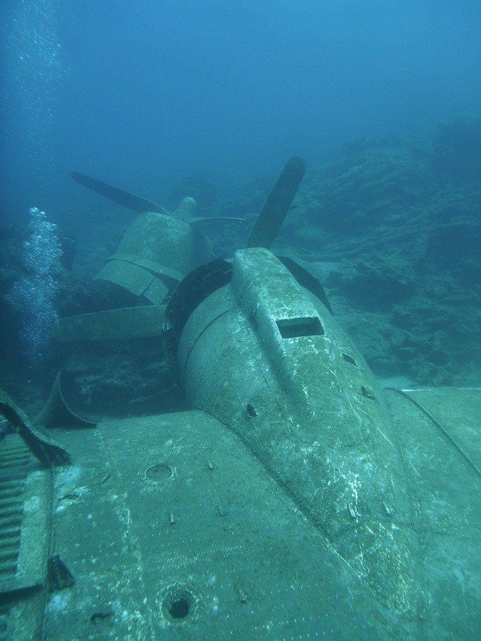 P1010346.JPG