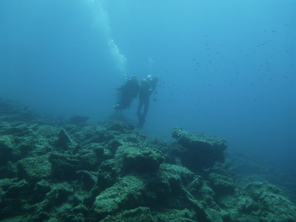 P1010365.JPG