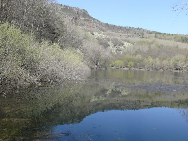 P1010372.jpg