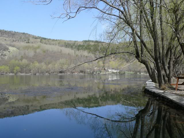 P1010373.jpg