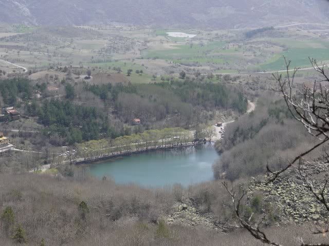 P1010390.jpg