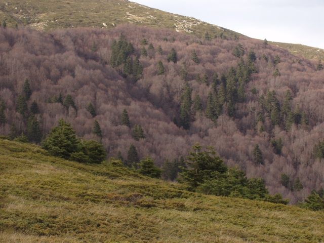 P1010395.jpg